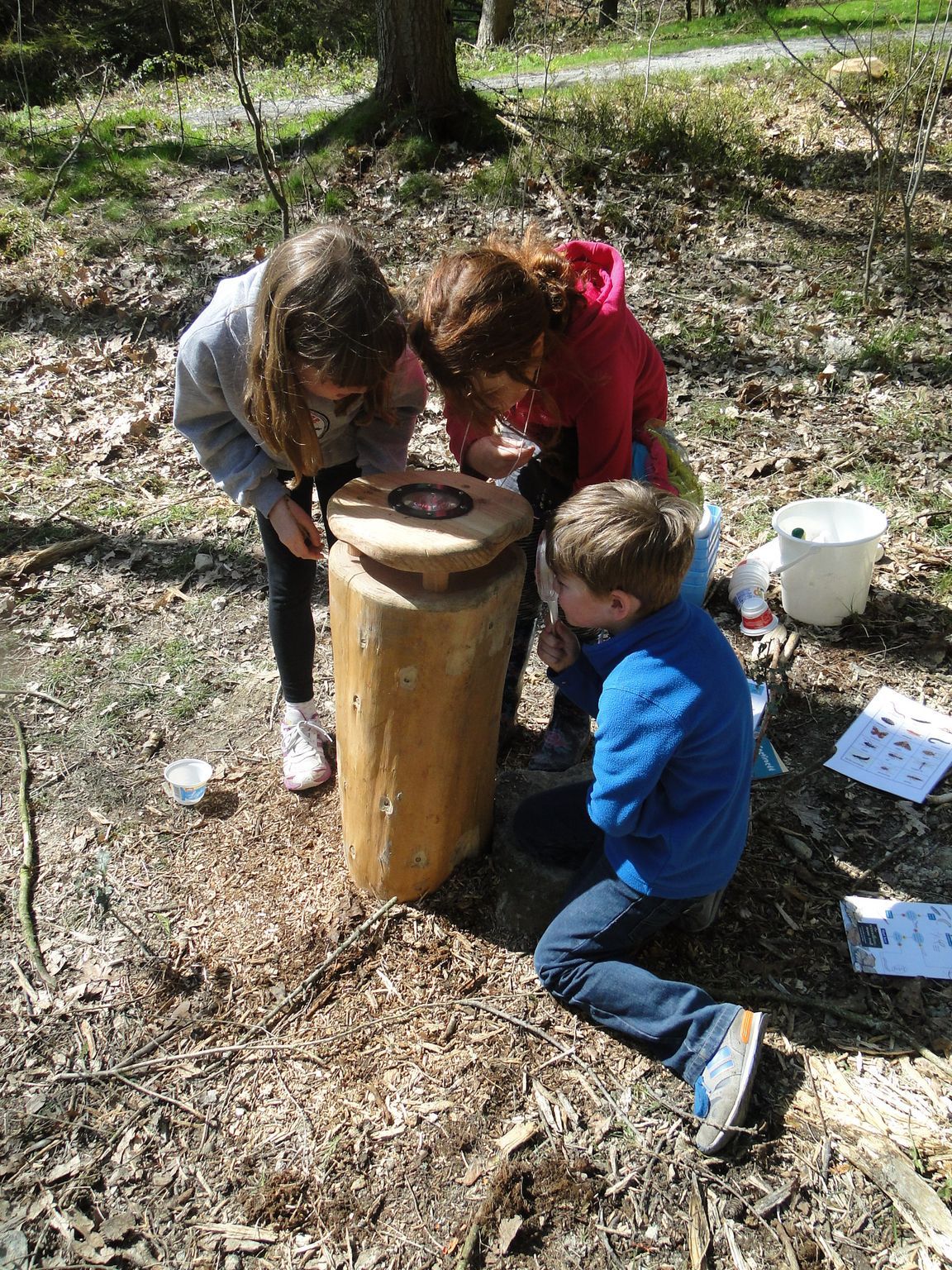 Children examining leaves, twigs, feathers and bones inside a davies white magnifying glass wooden
