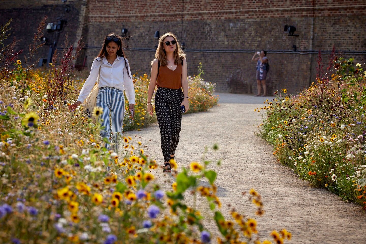 20 million carefully selected seeds were sown in the Tower’s famous moat, creating a vibrant sea of flowers which continuously evolved from June to September, changing colours and patterns throughout the summer, when the moat was opened to the public.  