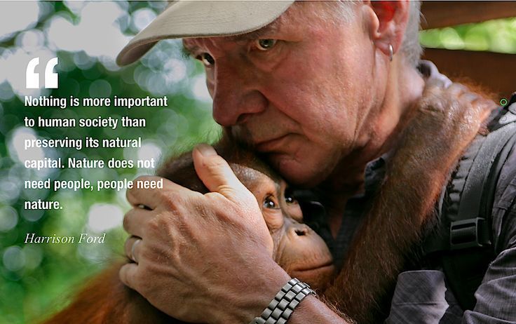 Harrison Ford holds and embraces an orangutan in a lush green environment, alongside a quote about nature conservation.
