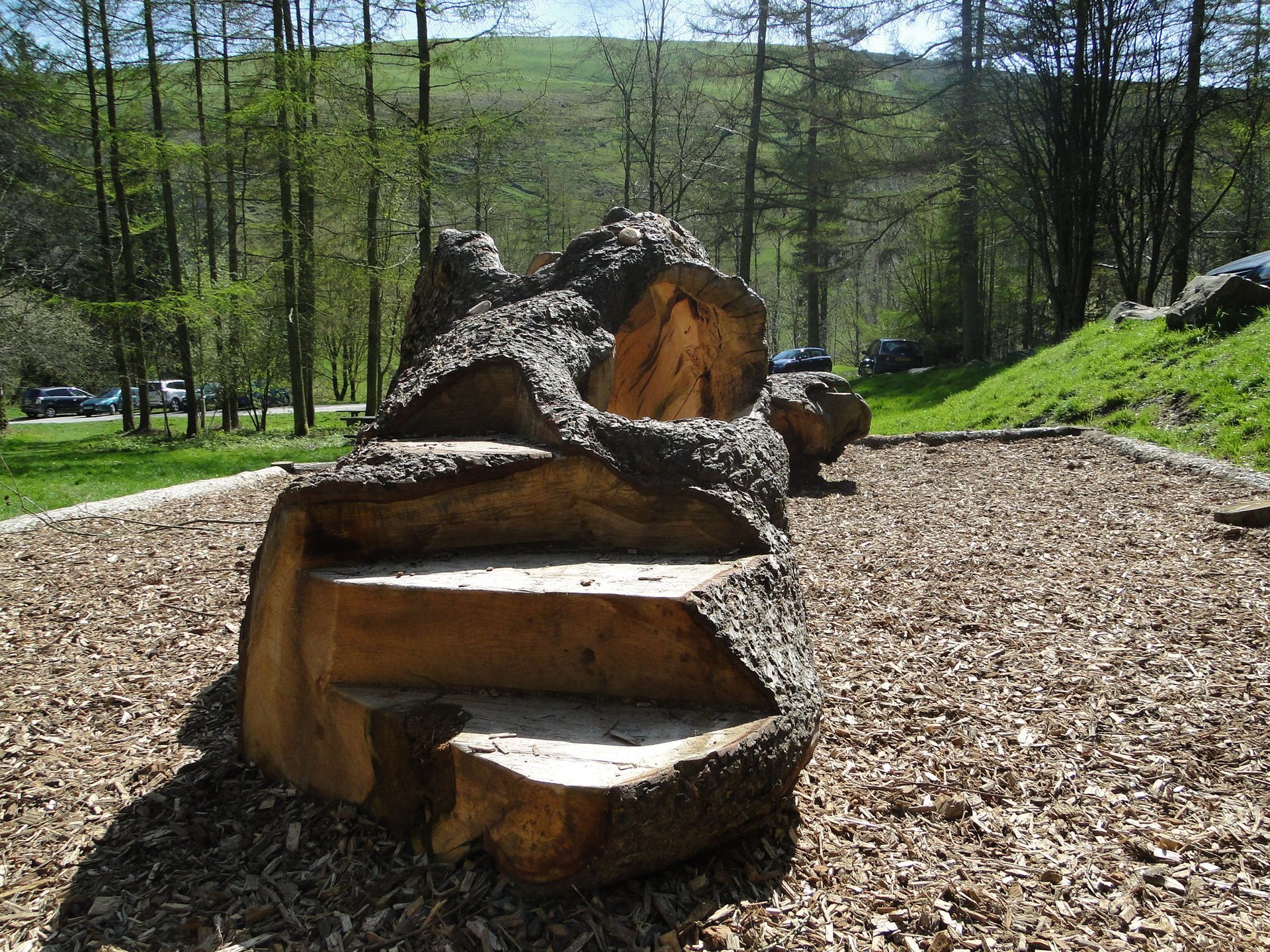 Hollow logs in wales - moel coed famau 