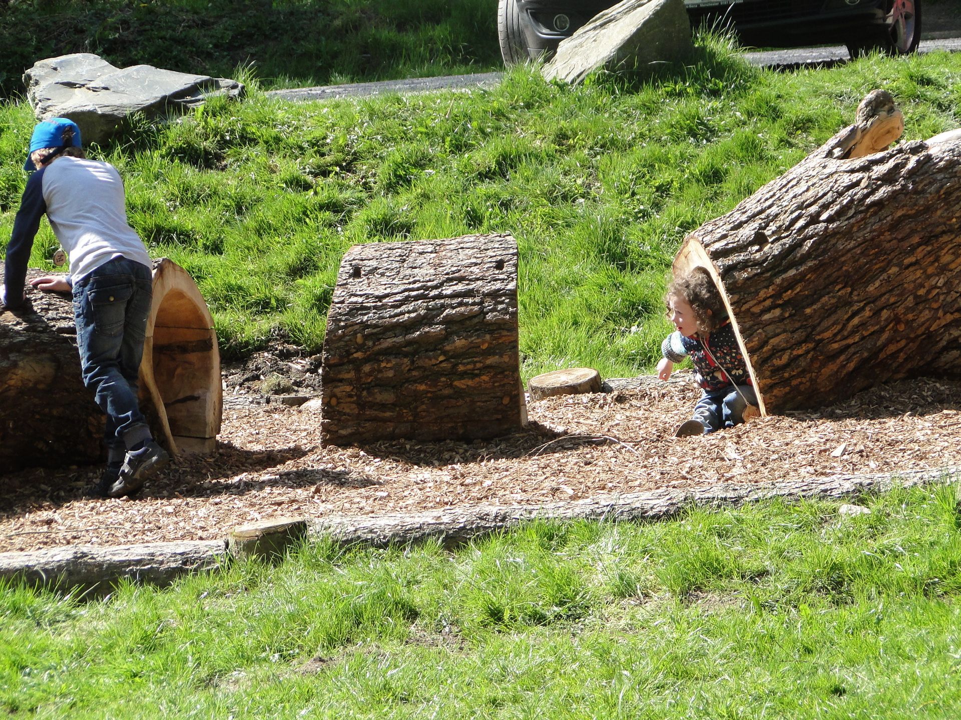 Hollow logs in wales - moel coed famau 