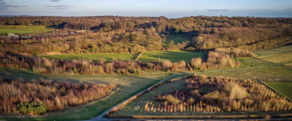 Aerial view of a landscape with trees, green fields, and water in a natural setting.