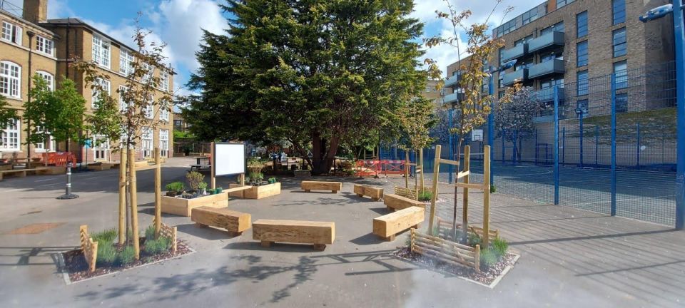 A courtyard with trees, benches, and a large tree at the center. Buildings surround the space.