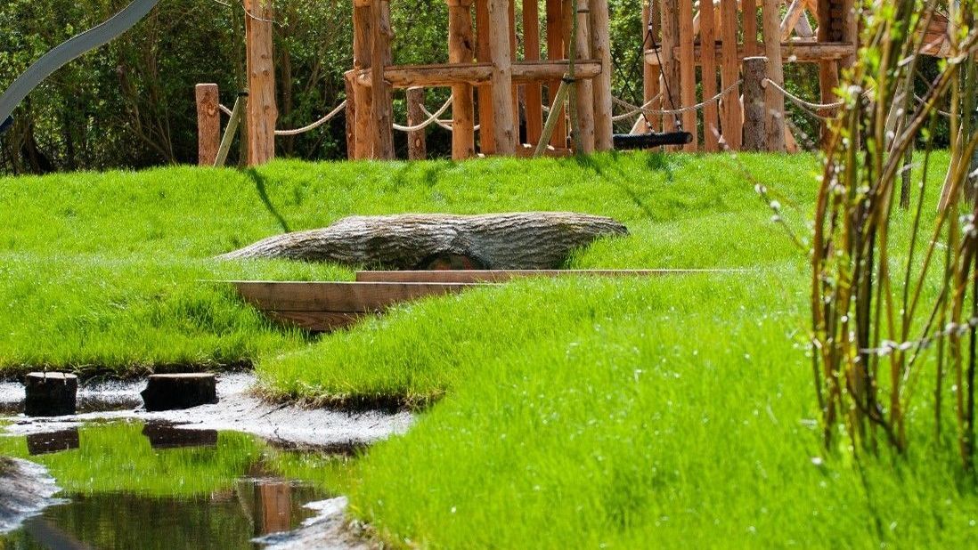 Badger Nature Play by Davies White Ltd at Ferry Meadows - Grassy mounds and swales capture rainwater