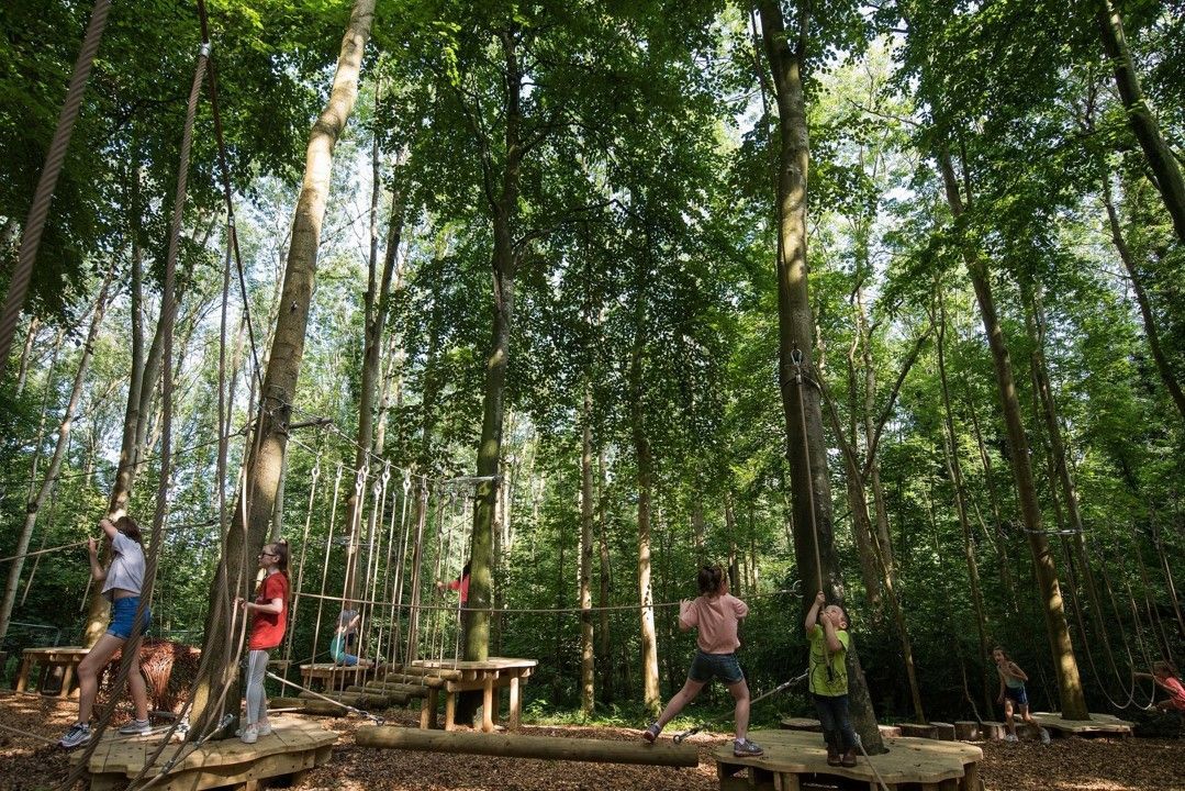 Children on a treetop adventure course in a green forest, using ropes and platforms.