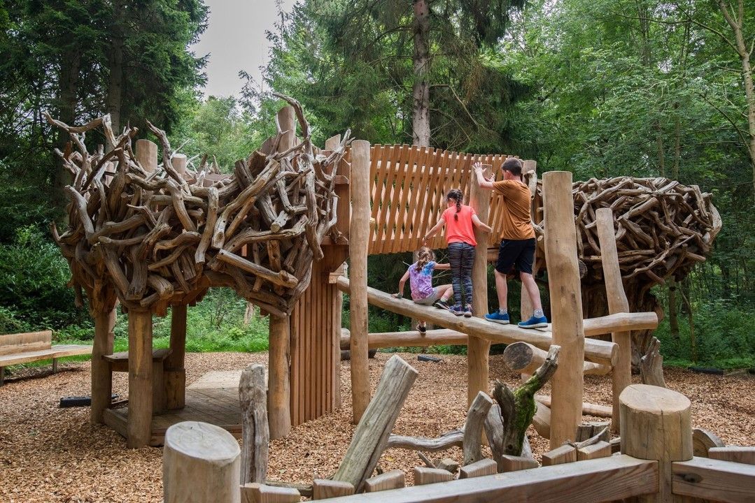 Children playing on a wooden playground structure in a forest.