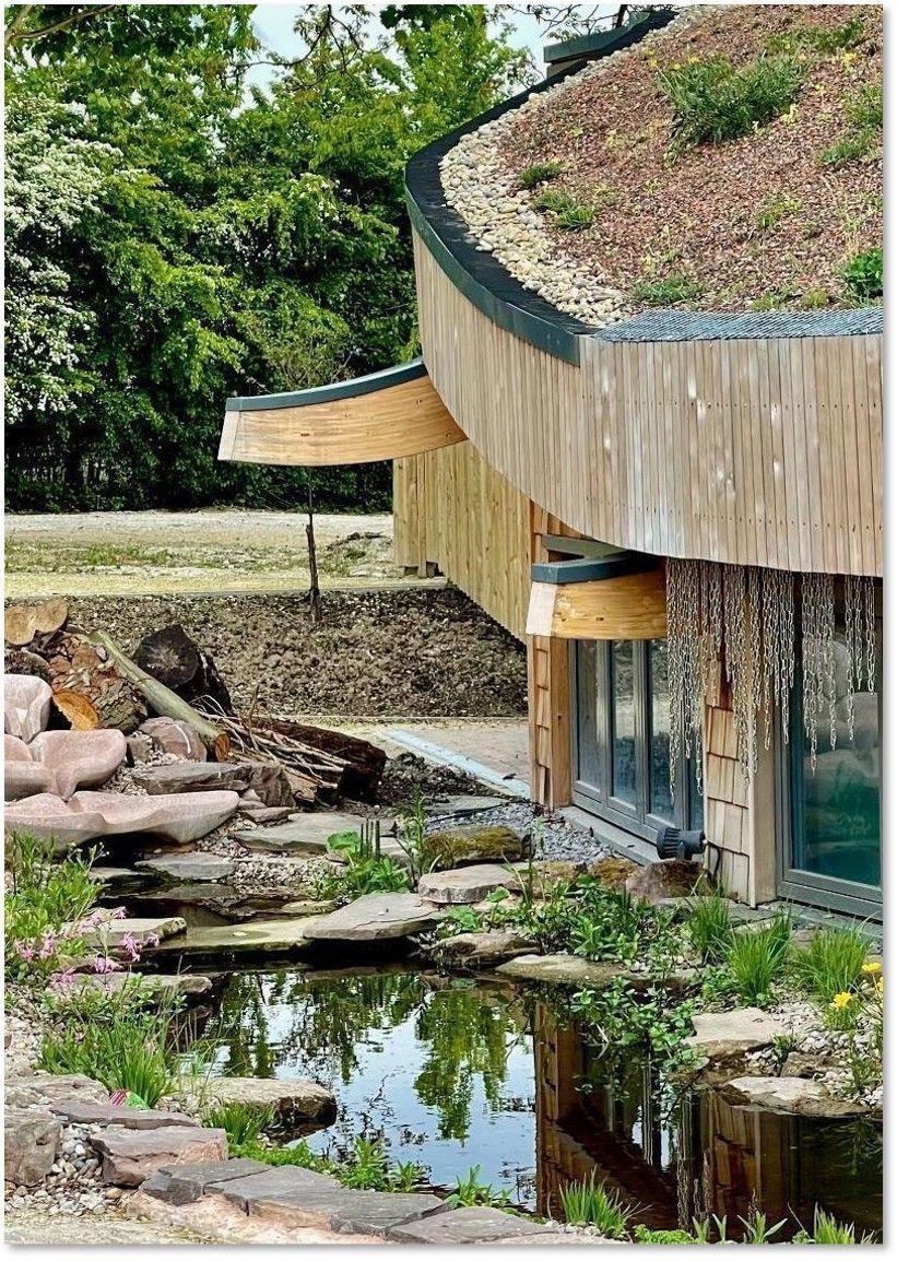 Modern building with a green roof and pond in a natural setting; wooden facade reflects in the water.