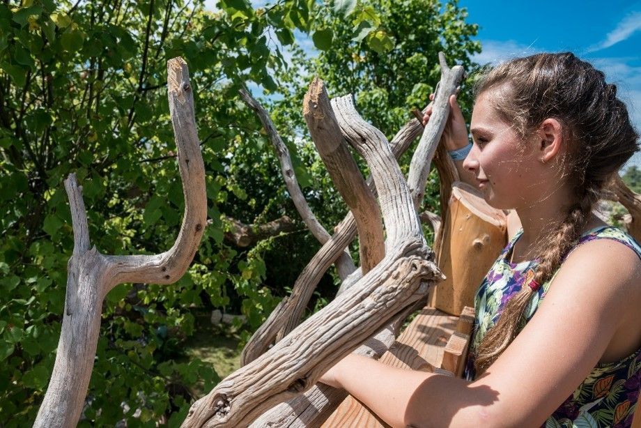 Young woman with a braid gazes from a wooden platform with driftwood railings, surrounded by green trees.
