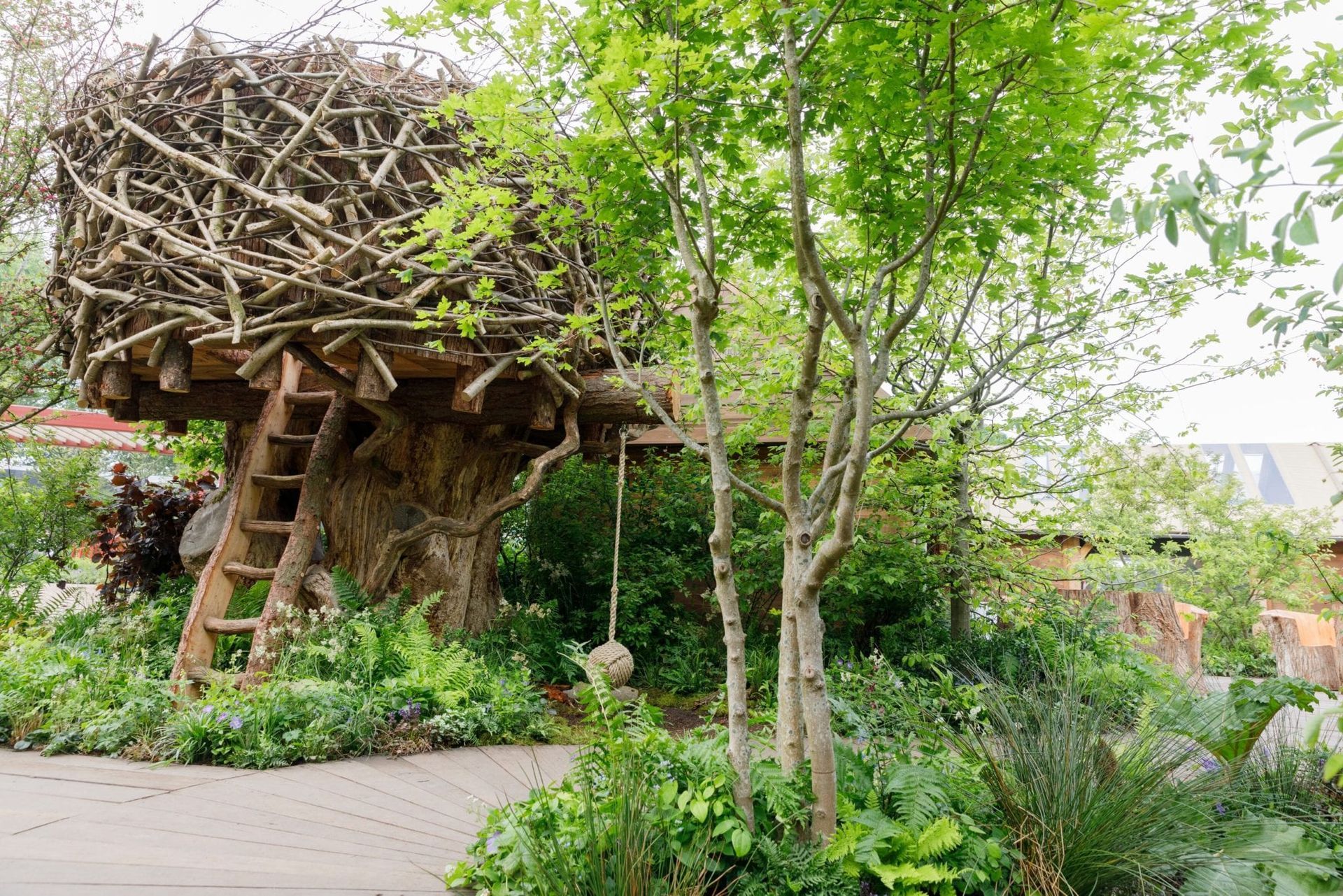 Treehouse-like wooden structure among green trees and plants beside a paved path