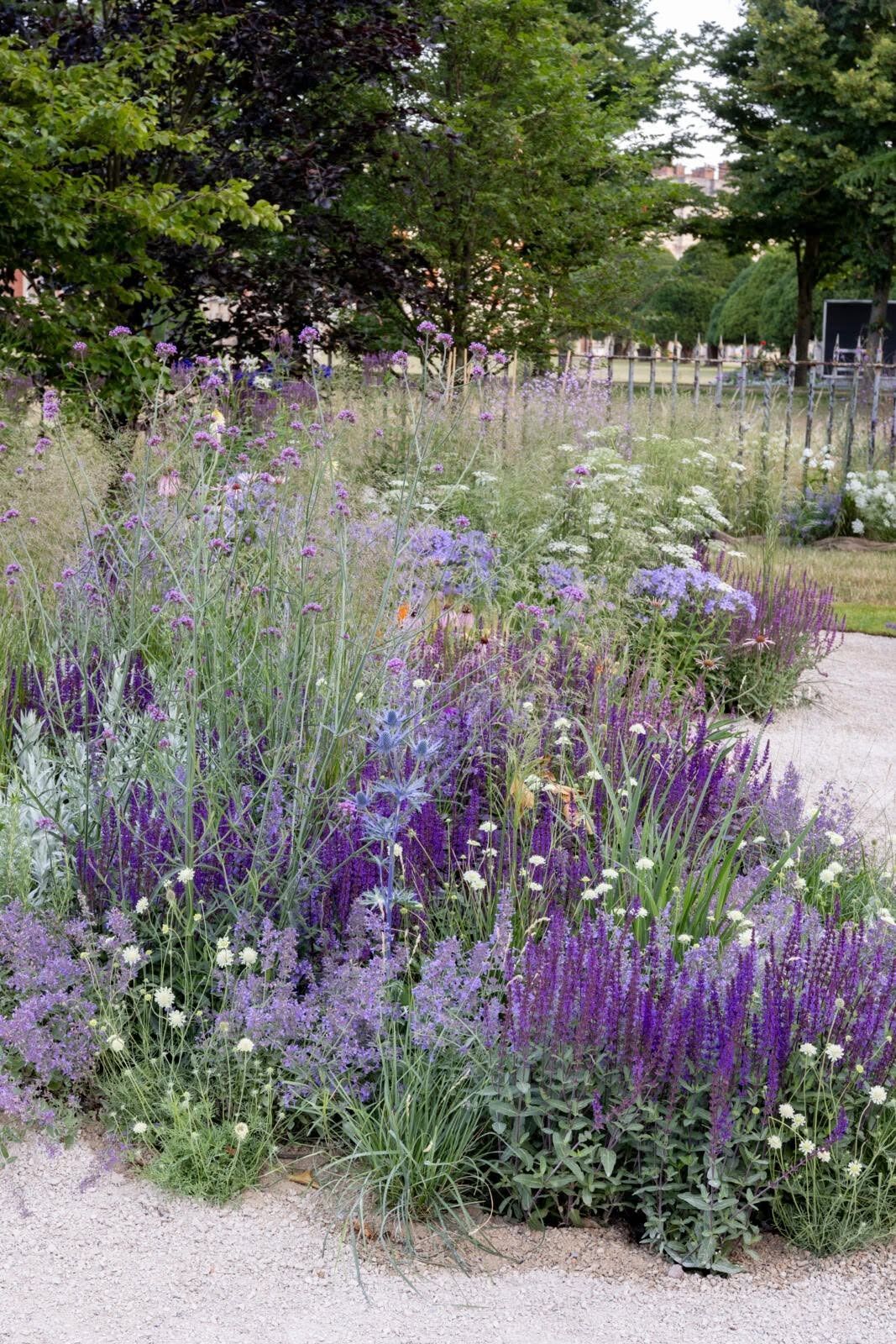 Carol Klein's approach to climate-resilient and drought-tolerant gardens revolves around selecting