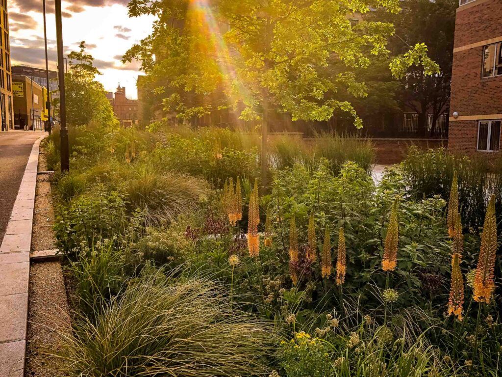  The Grey to Green scheme in Sheffield is the UK’s largest retro-fit SuDS project, and also the UK’s largest inner city ‘Green Street’