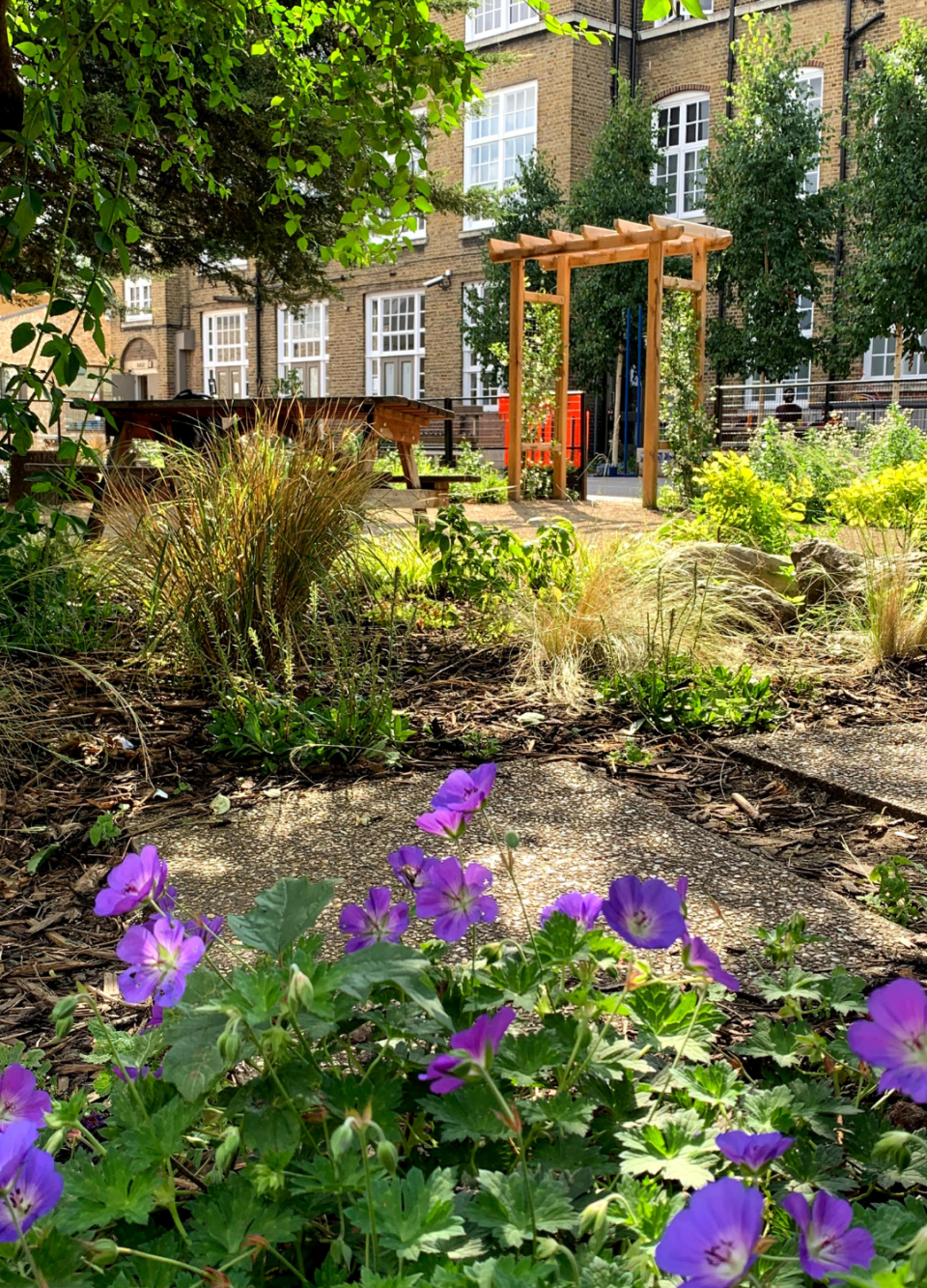 A vibrant garden with purple flowers, a wooden arch, and a building in the background.