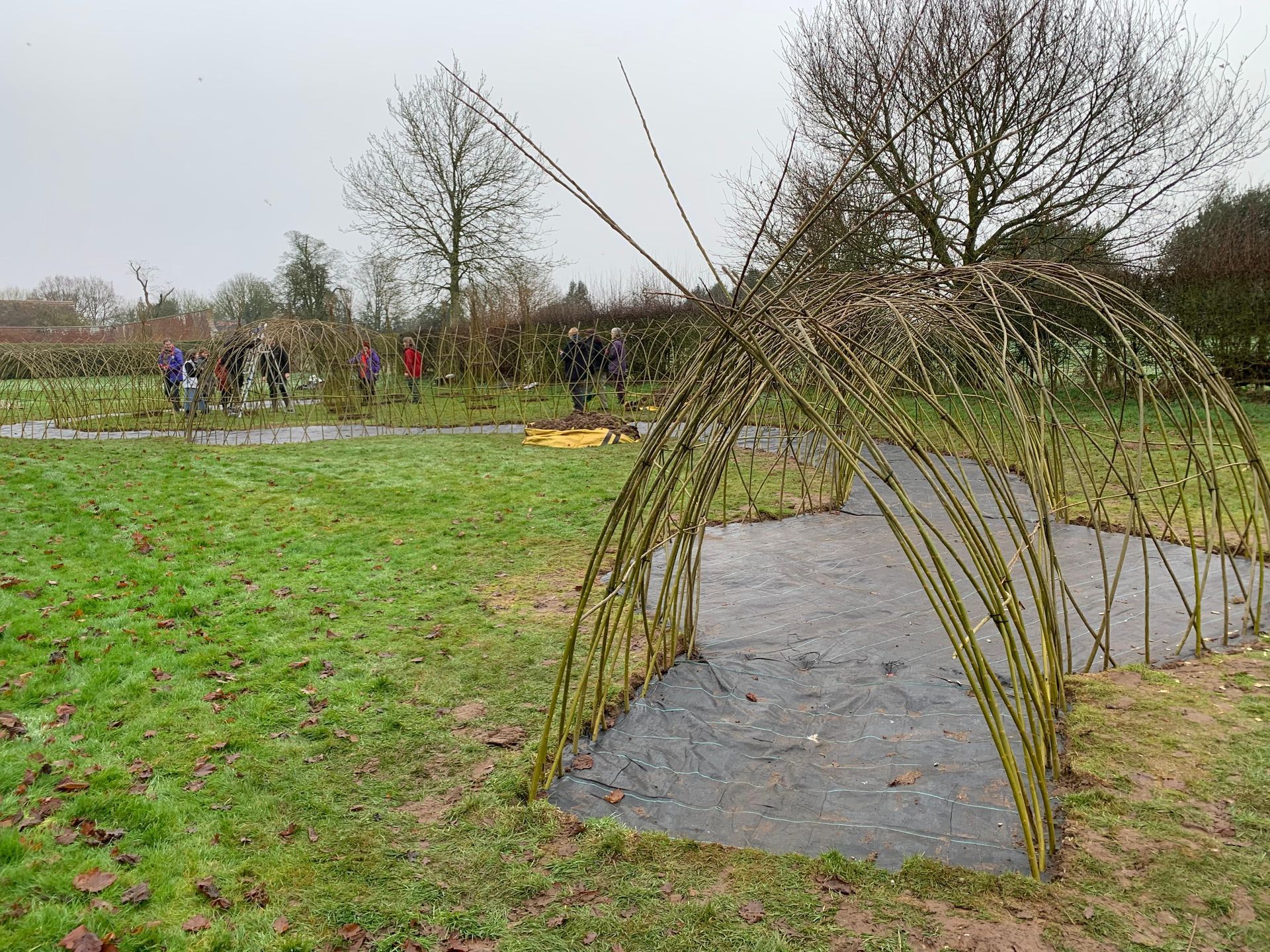 Willow tunnel arch in a grassy field; people working in the background.