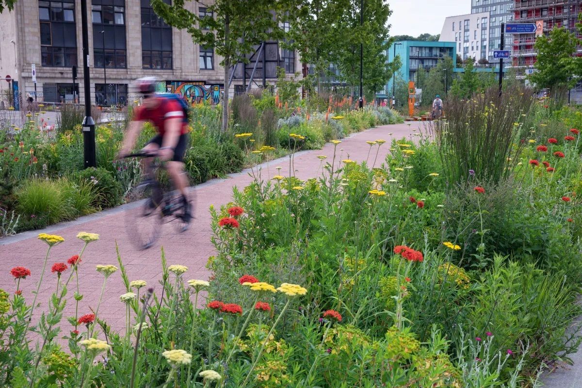 The Grey to Green scheme in Sheffield is the UK’s largest retro-fit SuDS project, and also the UK’s largest inner city ‘Green Street’.  