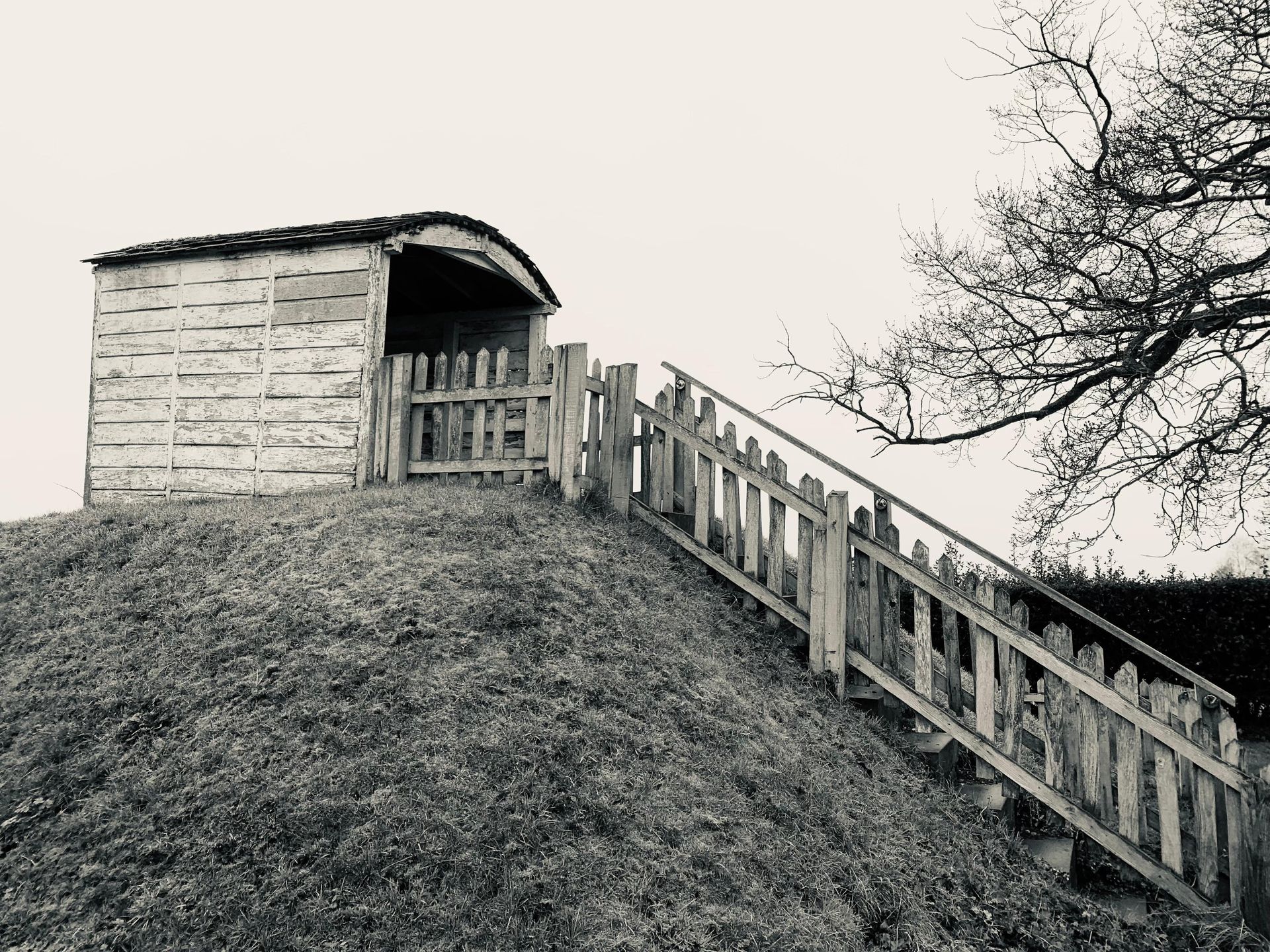 Wooden shed on a grassy hill with stairs leading up to it. Monochrome.