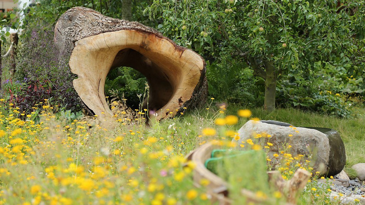 Hollowed-out tree trunk archway in a field of yellow wildflowers, with a stone fountain and trees in the background.