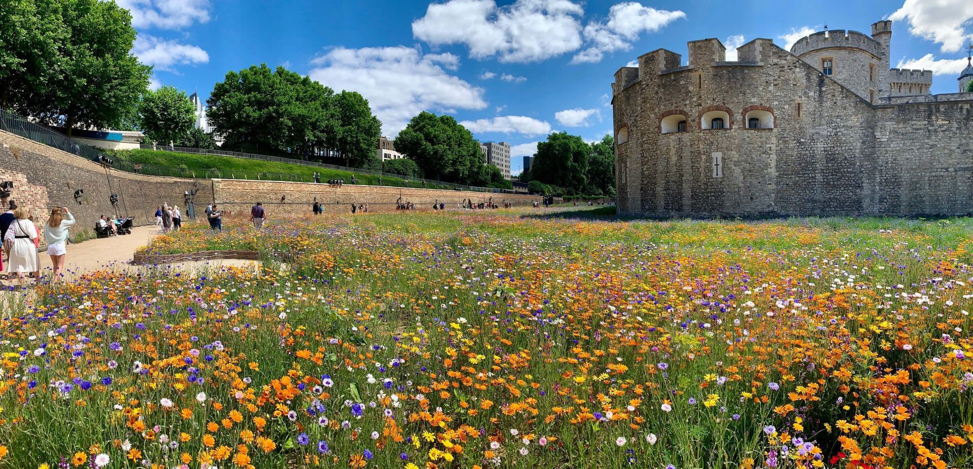 The Tower of London Superbloom installation celebrated the Platinum Jubilee of Her Majesty Queen Elizabeth II.  