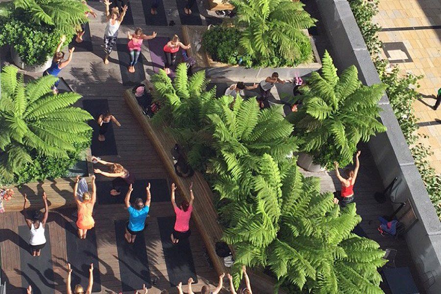 People doing yoga on a rooftop patio, surrounded by plants; arms raised, stretching.