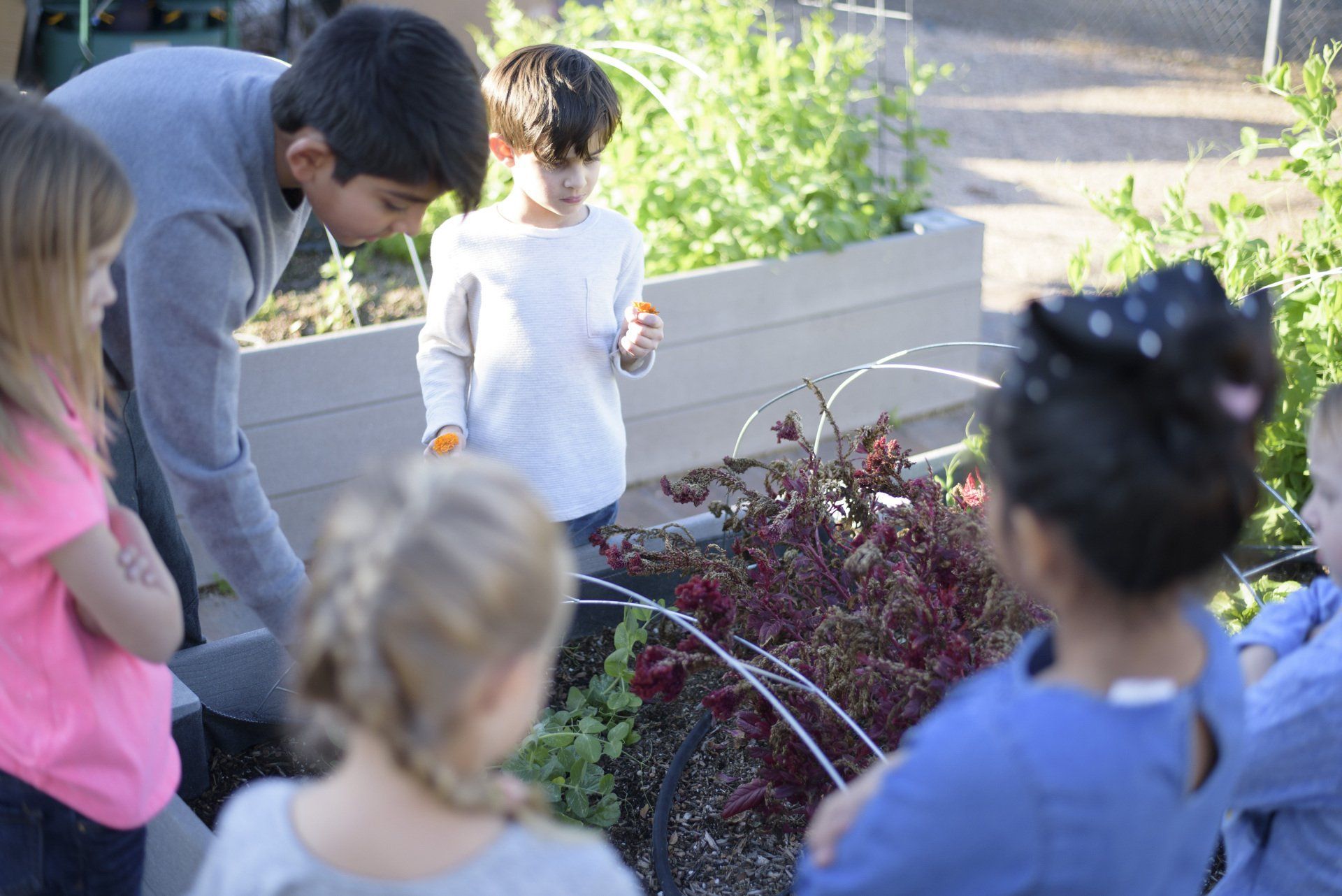 Program Outside 5 Ways to Take Learning Outside