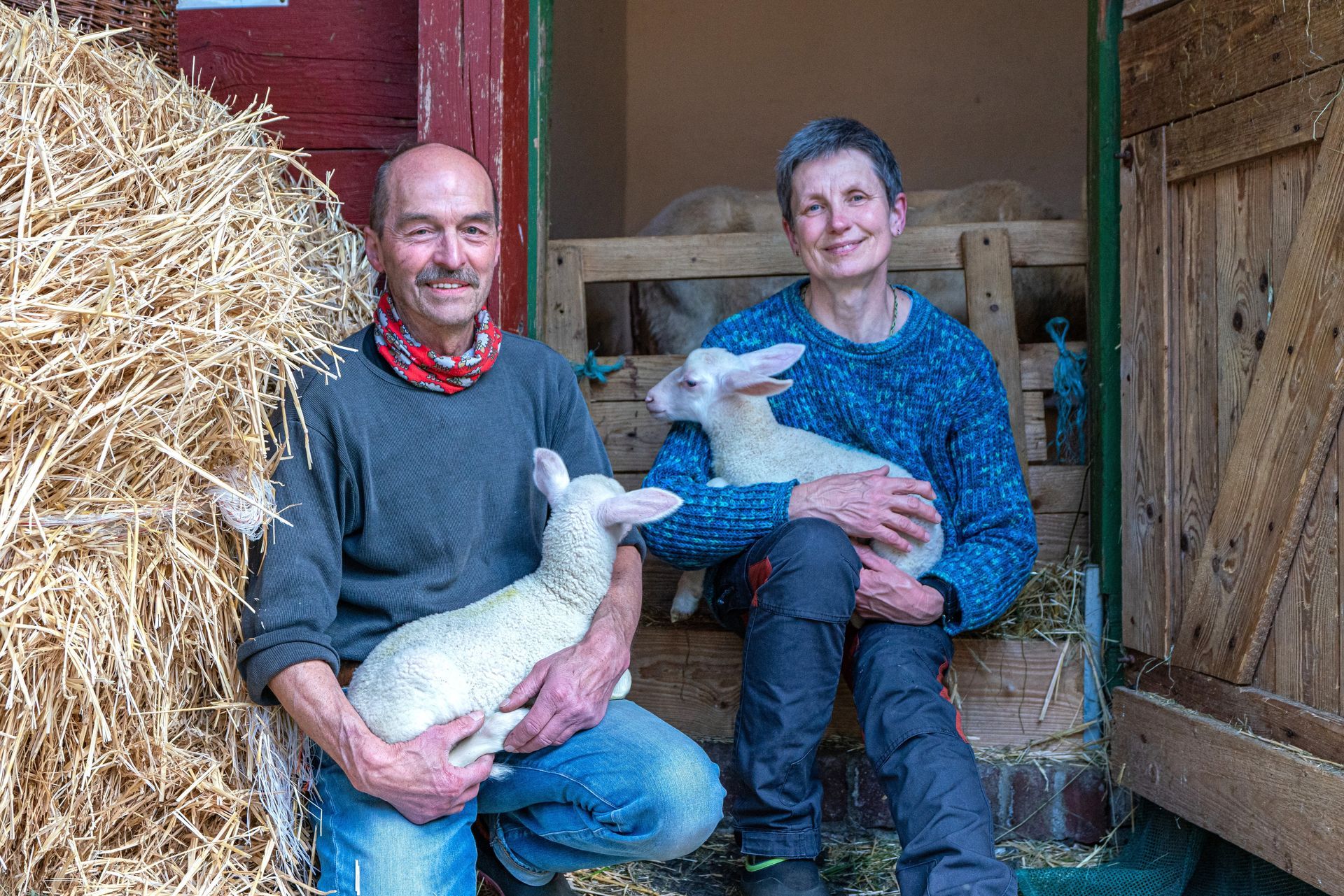 Milchschaflämmer auf dem Wendeline Schafhof