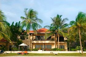 sarasota tree service