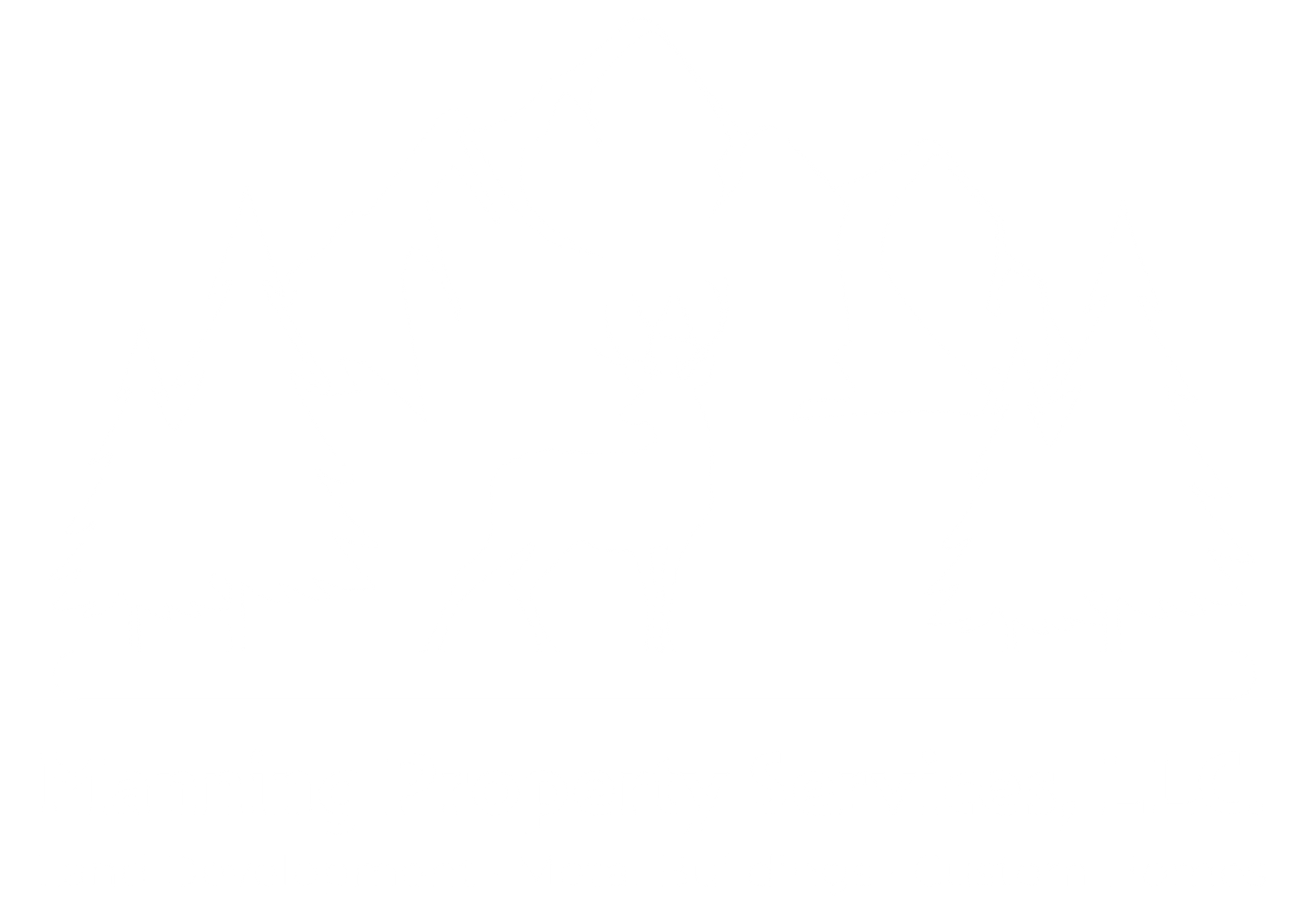 Manning Property Services LLC loog