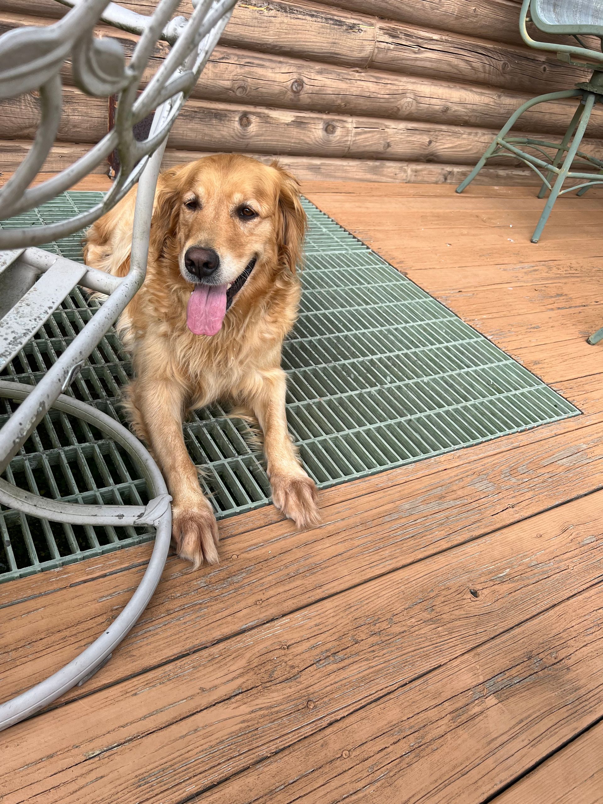 A dog is laying on a green mat on a wooden deck.