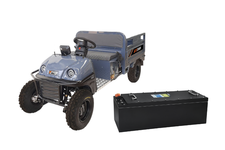 Lithium-ion batteries