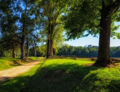 Natchez Trace Parkway — Meridian, MS — AES Limited PC