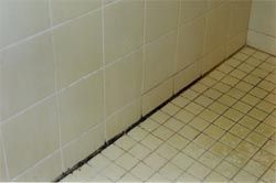 before tile cleaning image