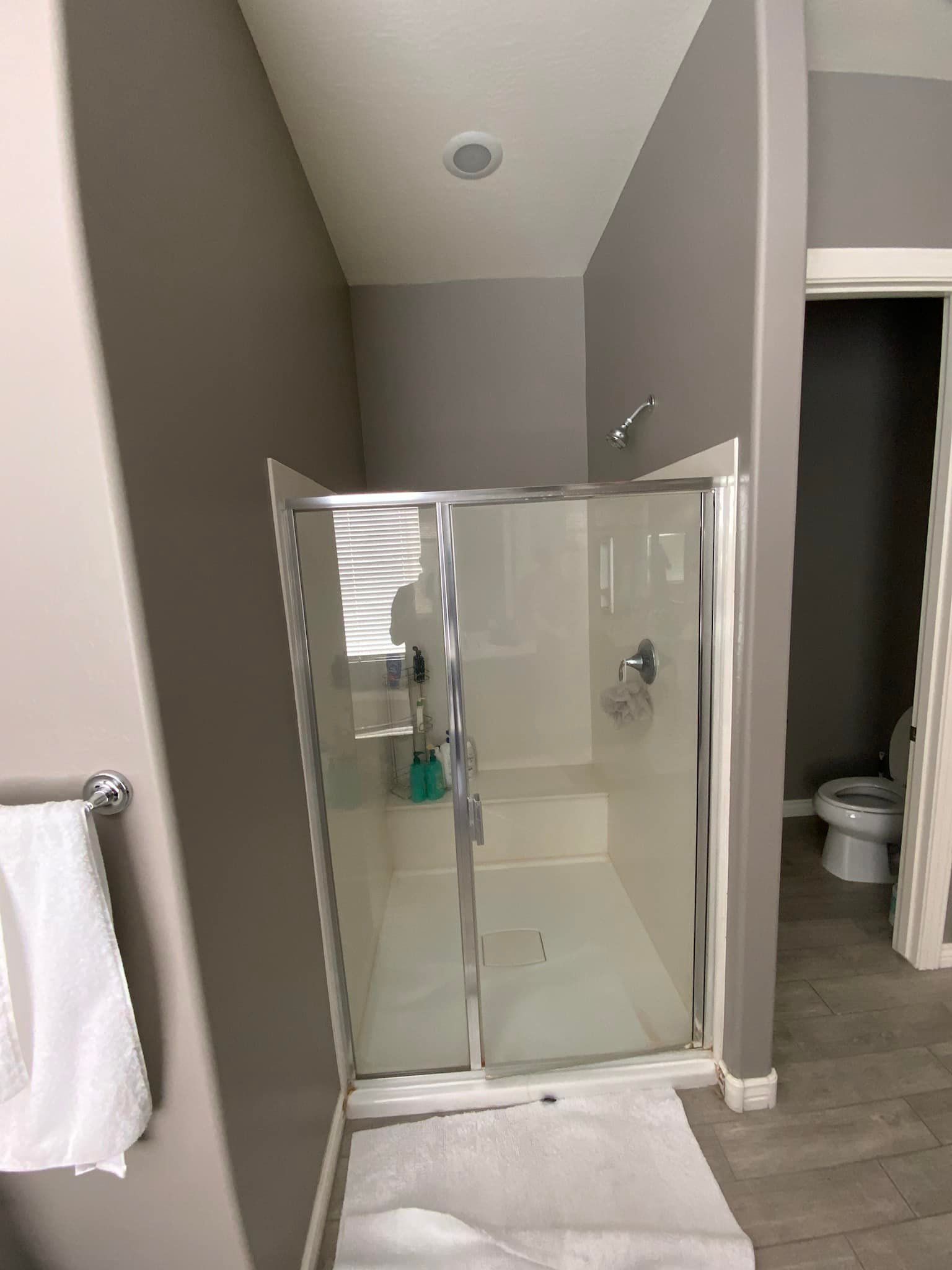 A bathroom with a walk in shower and a toilet.