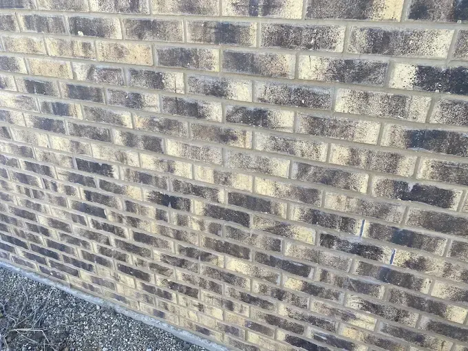 Masonry repair near Chicago, IL