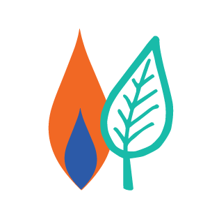 BDS Fuels logos for LPG fuel and Wood Pellets