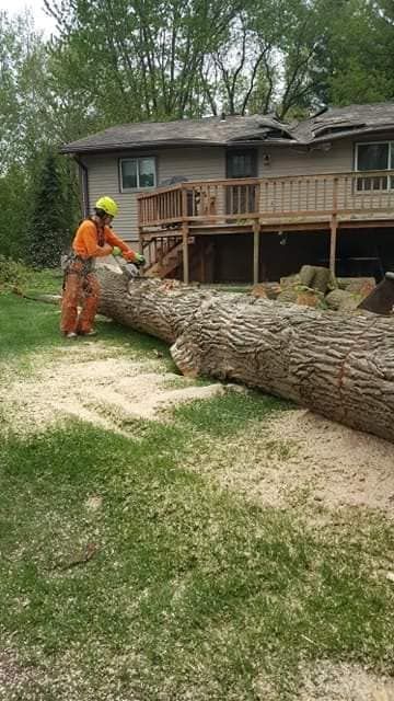 A Man Is Cutting A Large Log With A Chainsaw In Front Of A House - New London, WI - Mid State Tree Service & Arborist