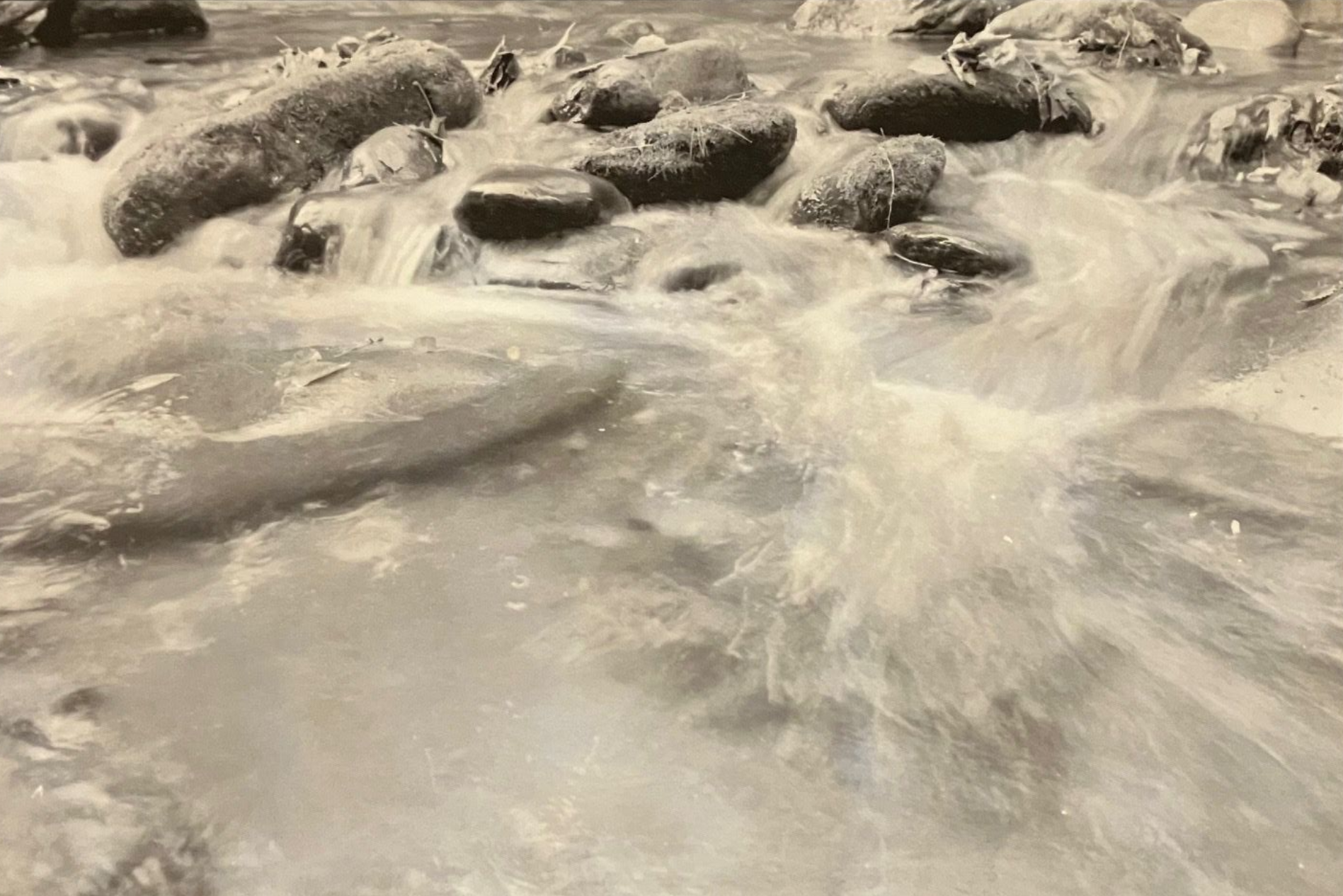 Rushing water flowing over and around gray rocks in a river.