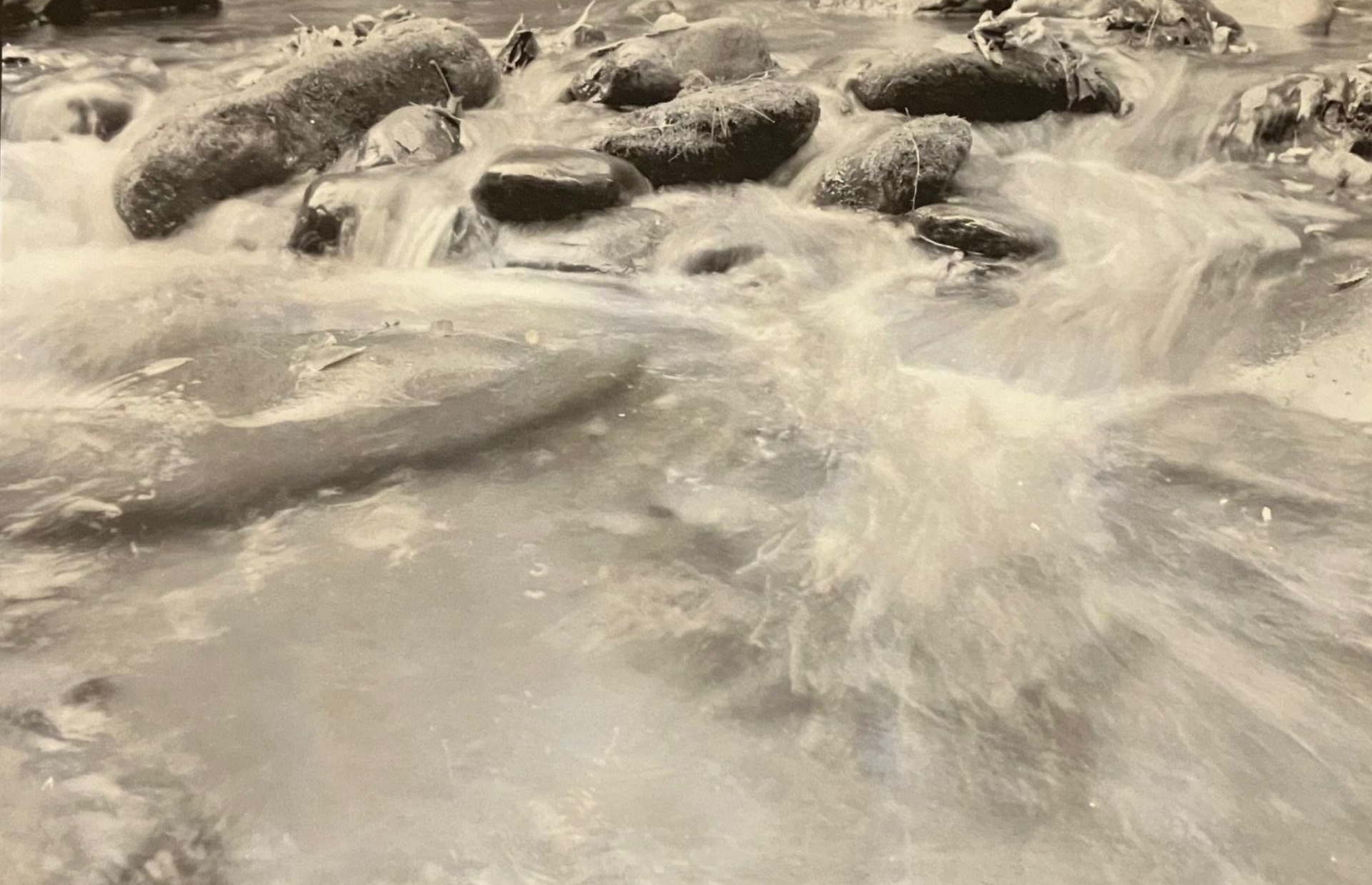 Fine art print of rushing water flowing over and around gray rocks in a river.