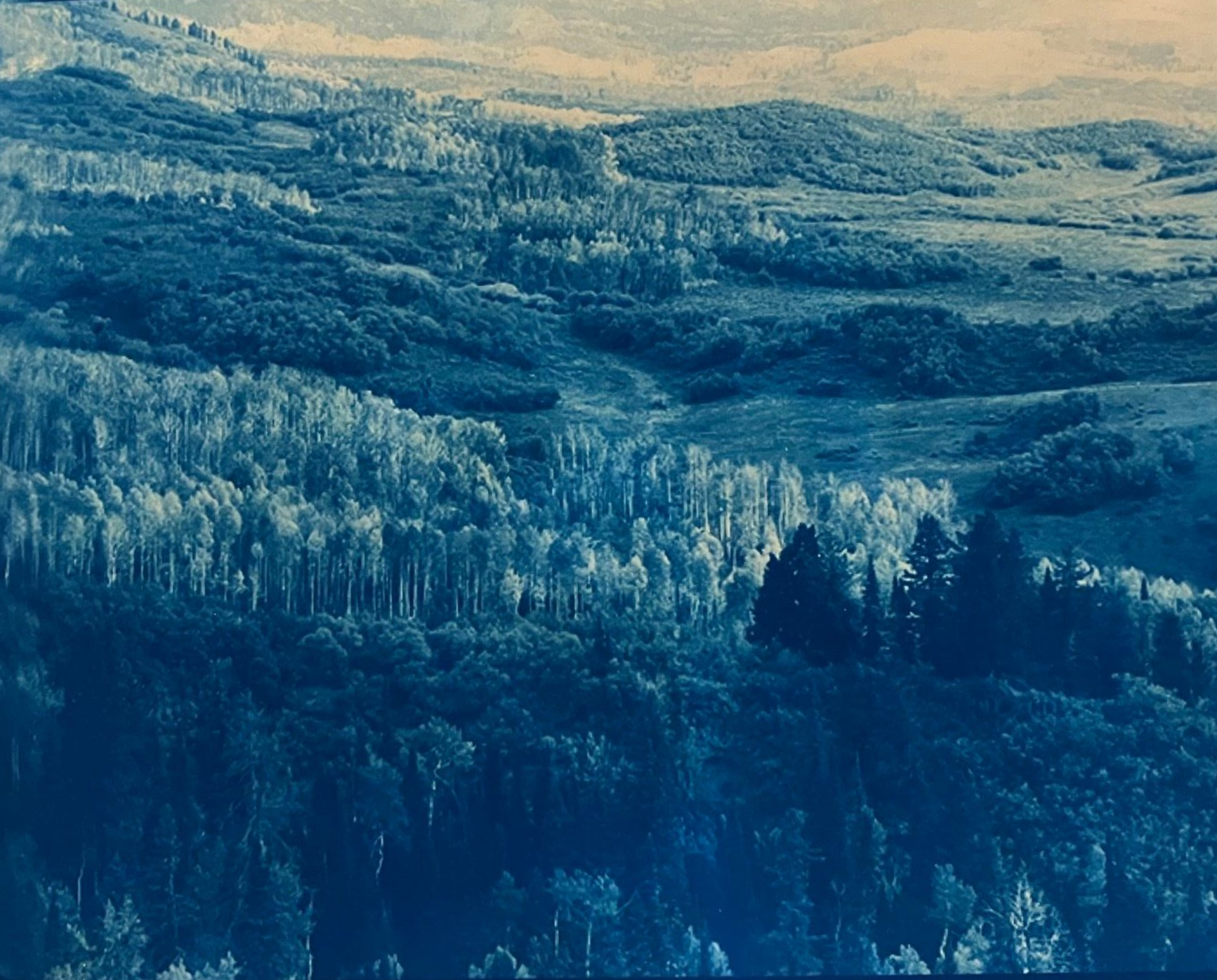 Fine art photography print of a hilly landscape with varying shades of blue, dotted with trees and foliage.