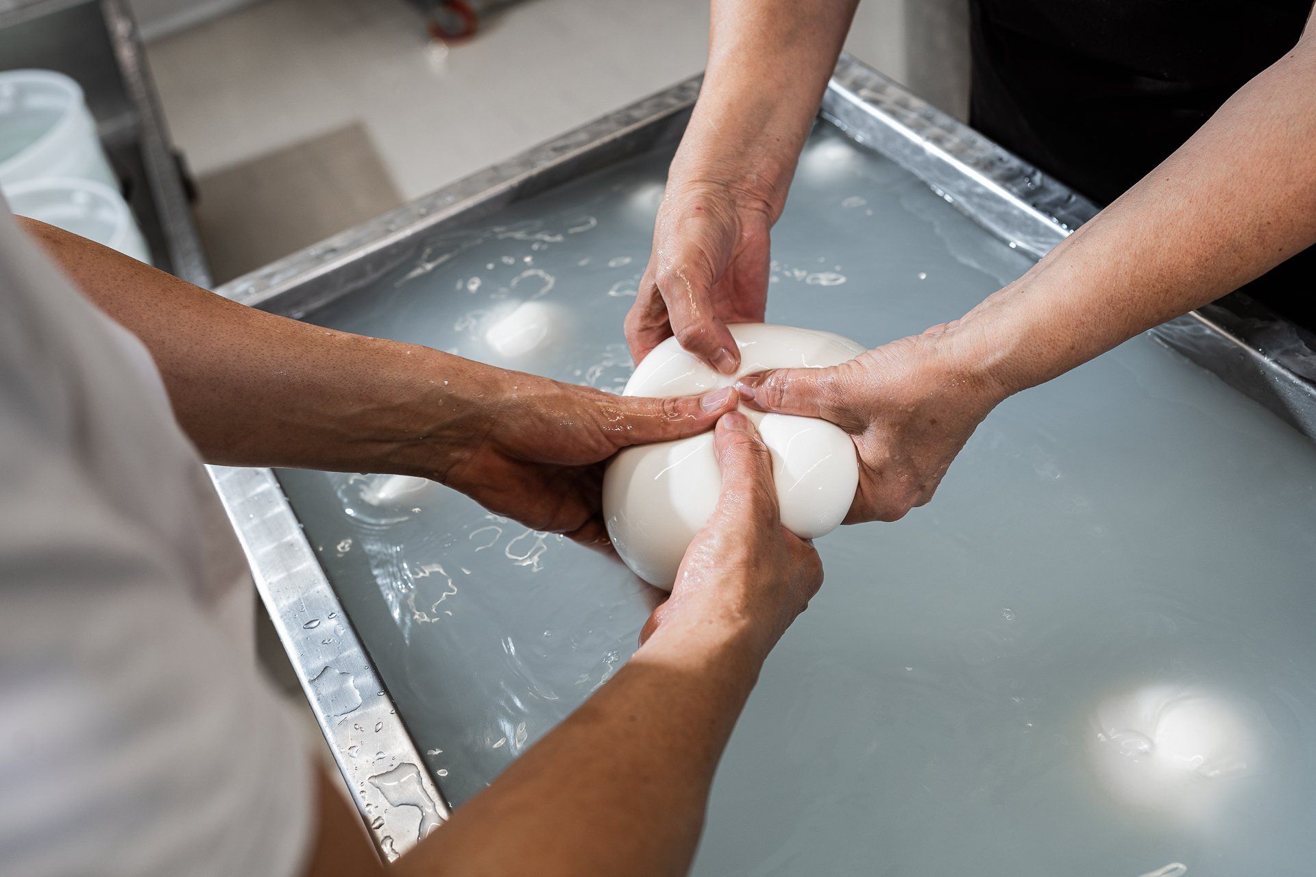 L’ Arte del Casaro Caseificio Artigianale