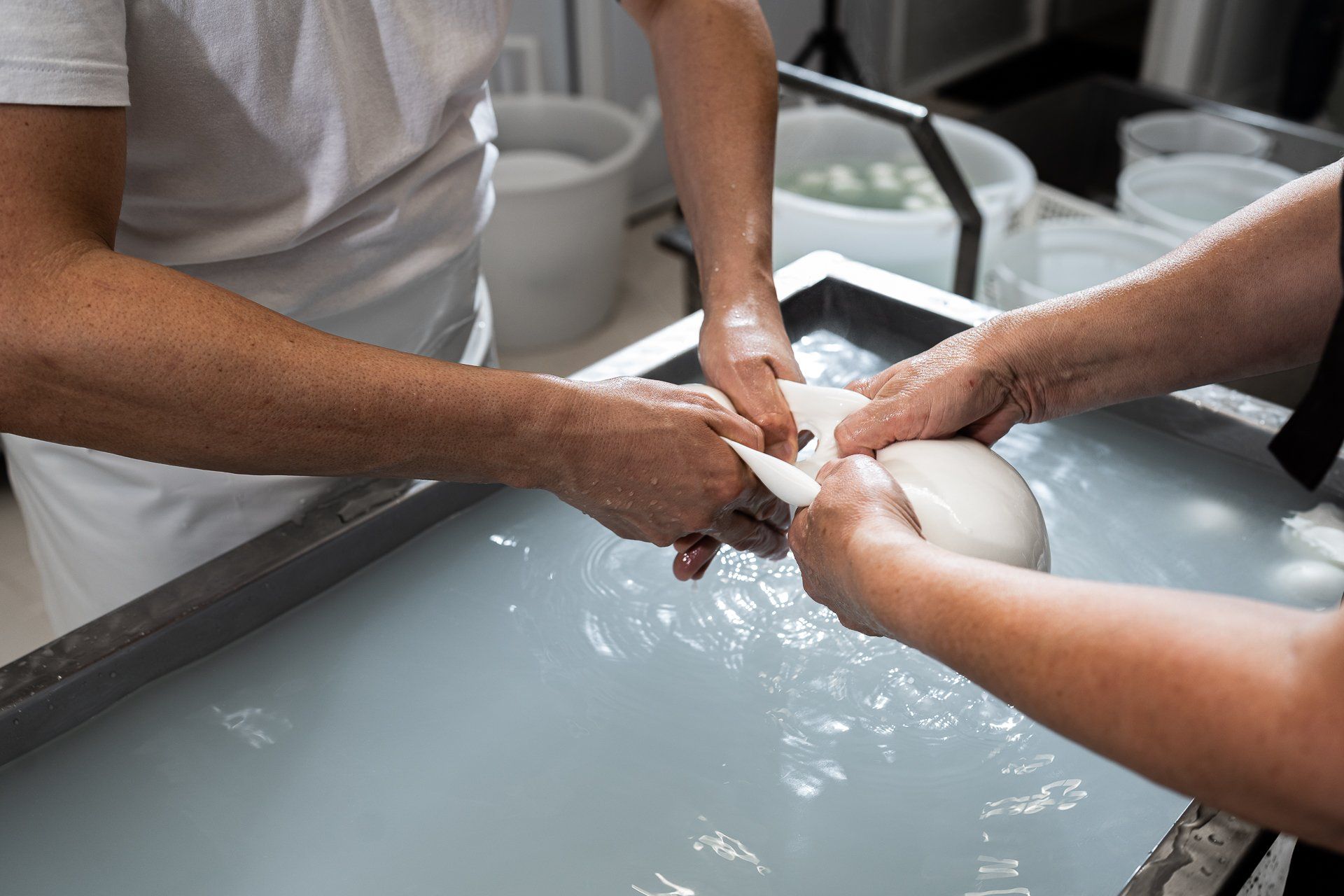 L’ Arte del Casaro Caseificio Artigianale