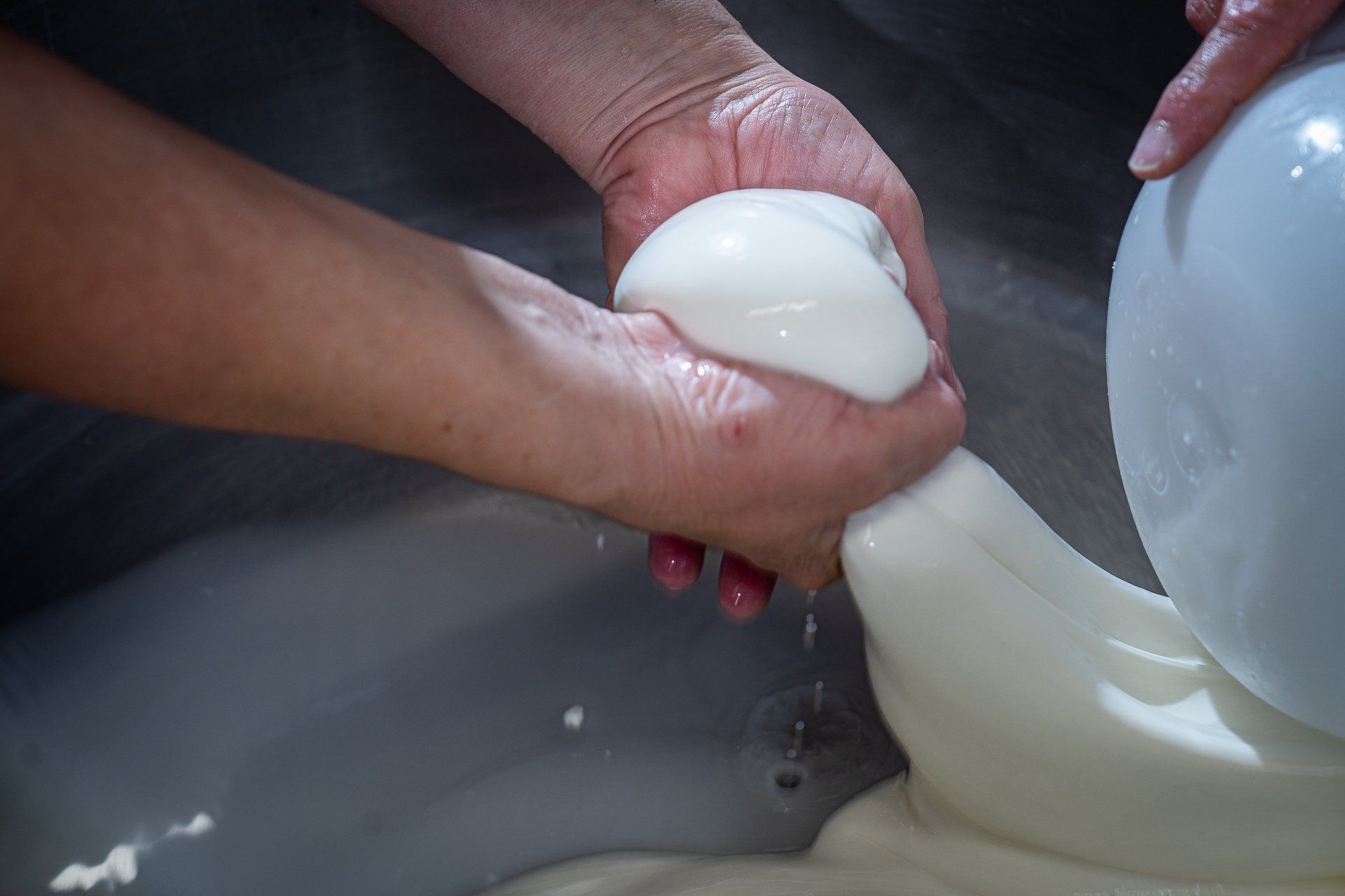 L’ Arte del Casaro Caseificio Artigianale