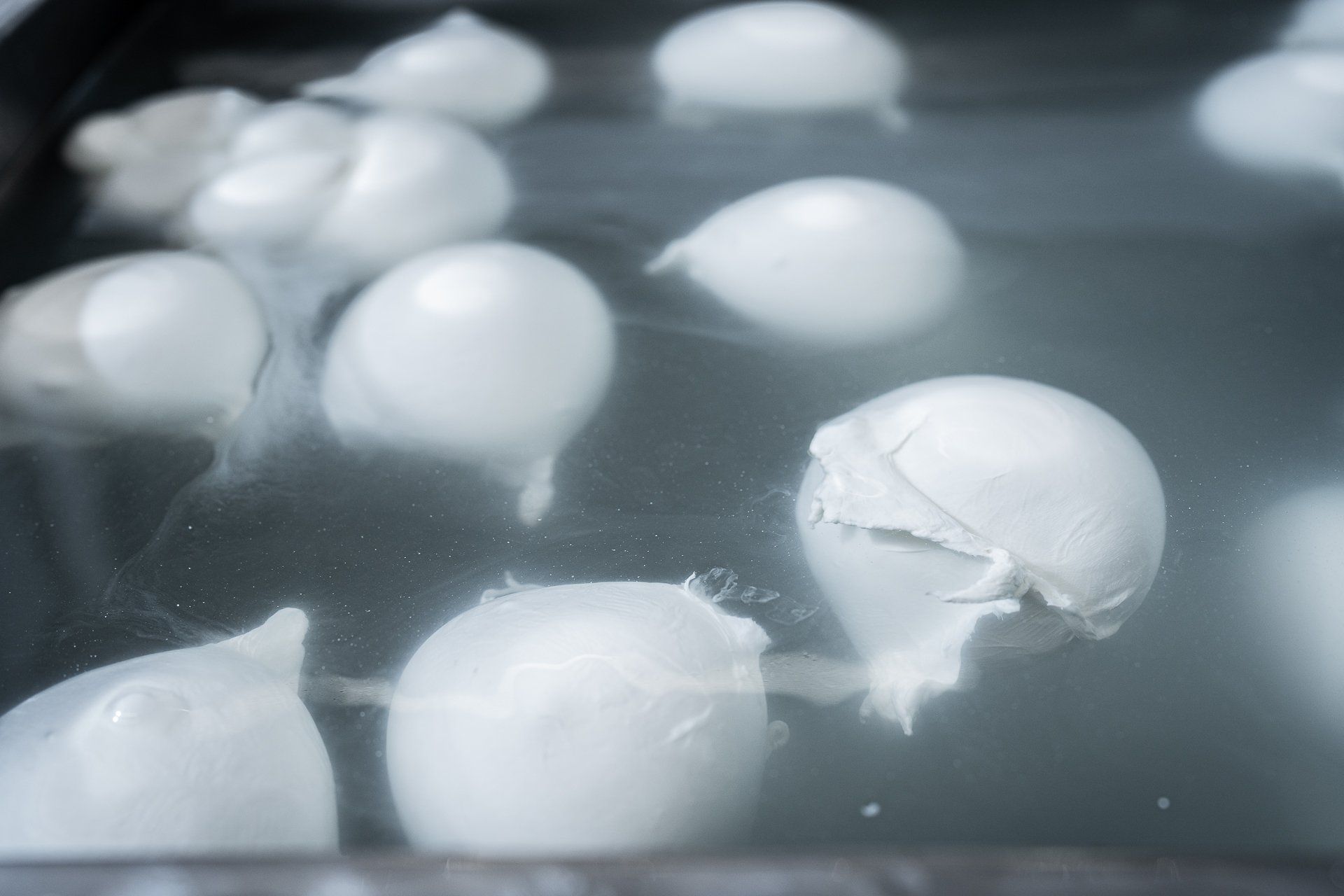 L’ Arte del Casaro Caseificio Artigianale