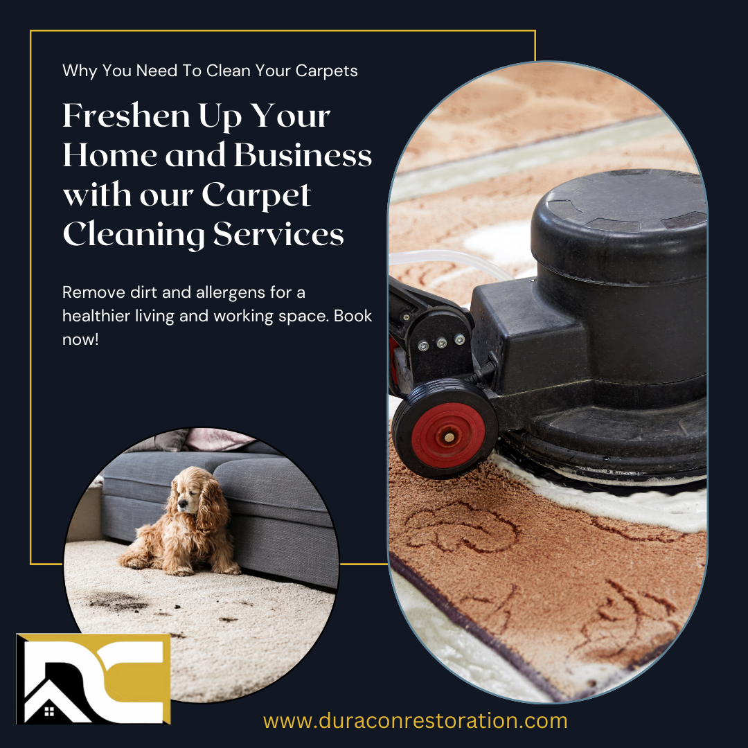 Keep your Carpets Clean and Fresh with Carpet Cleaning College Station Services