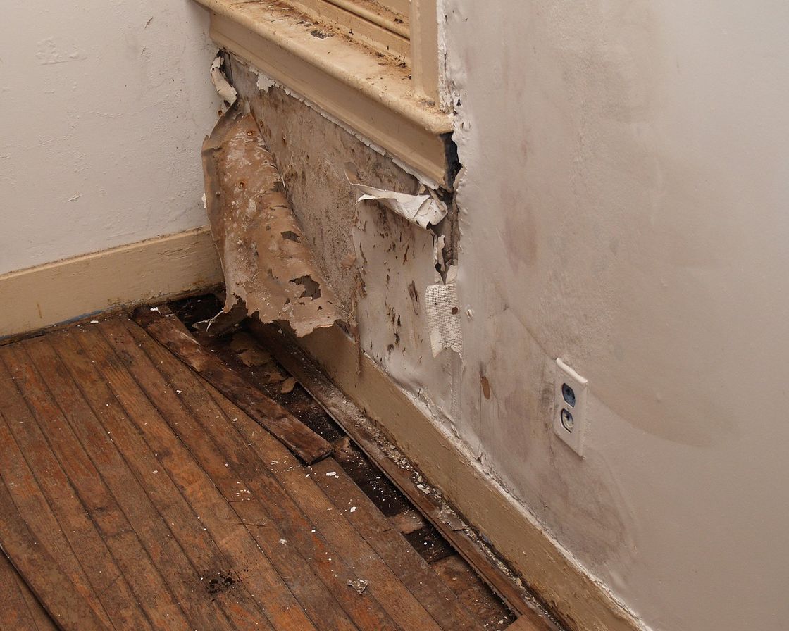 Mold in the walls from a water leak