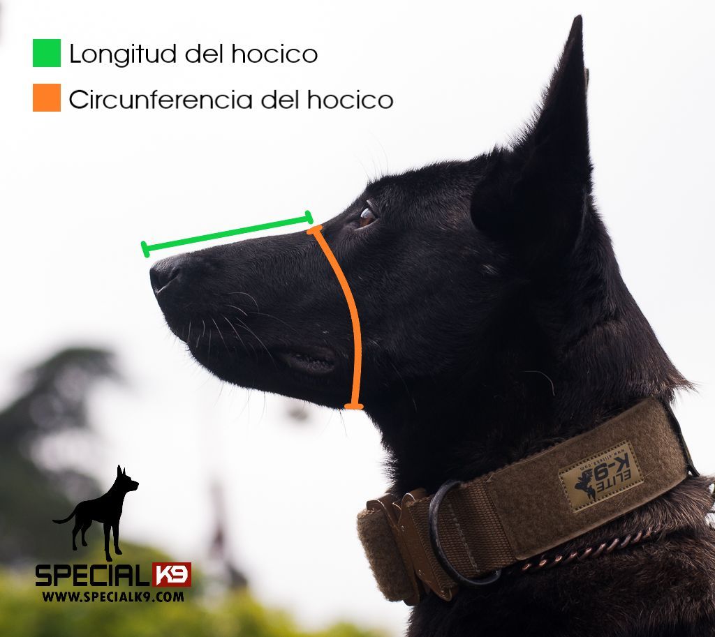 Bozal de canasta de alambre recubierto.