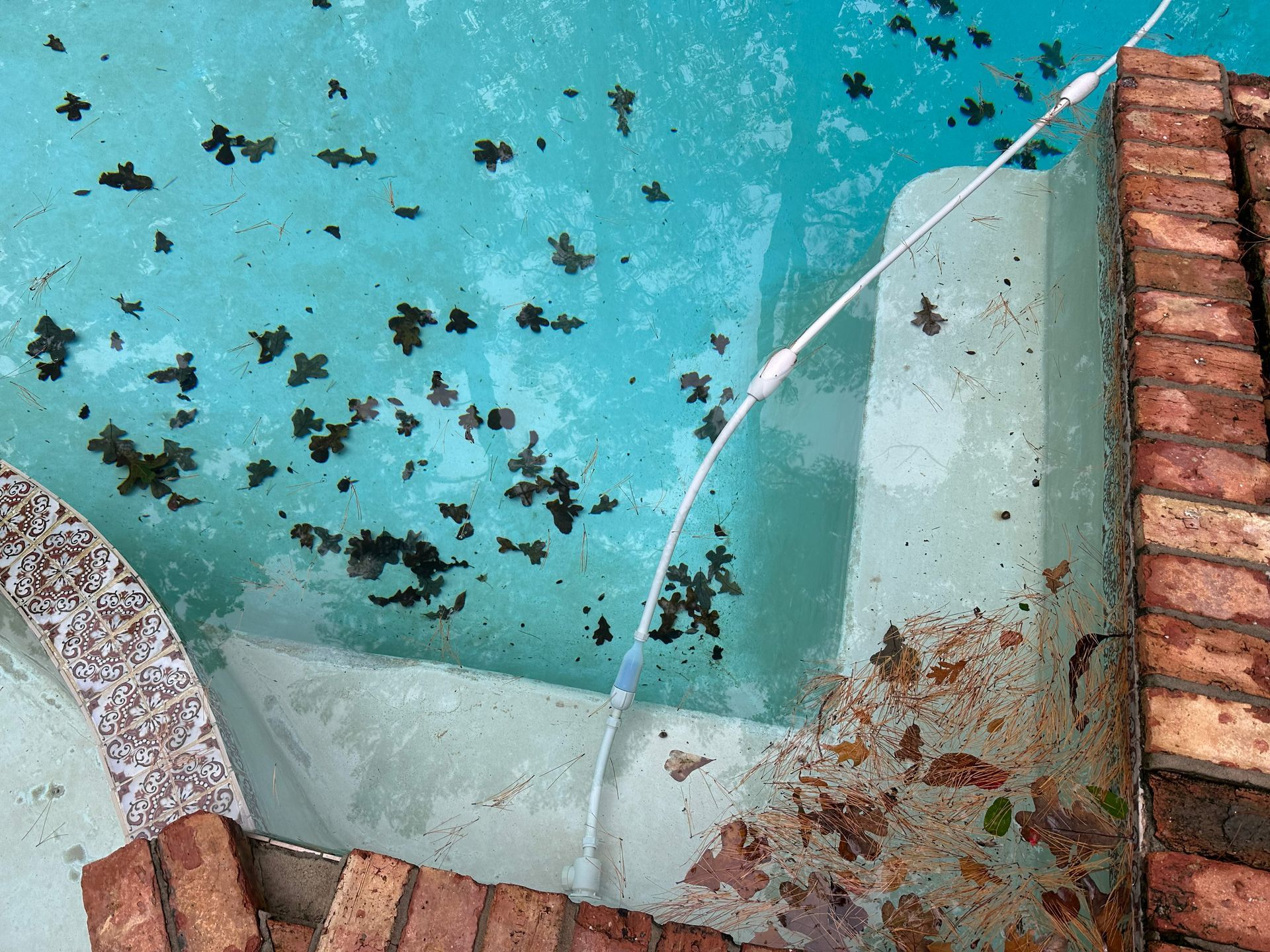 A white pool vacuum hose rests in a pool filled with leaves, next to brick coping and a dirty, leaf-covered deck.