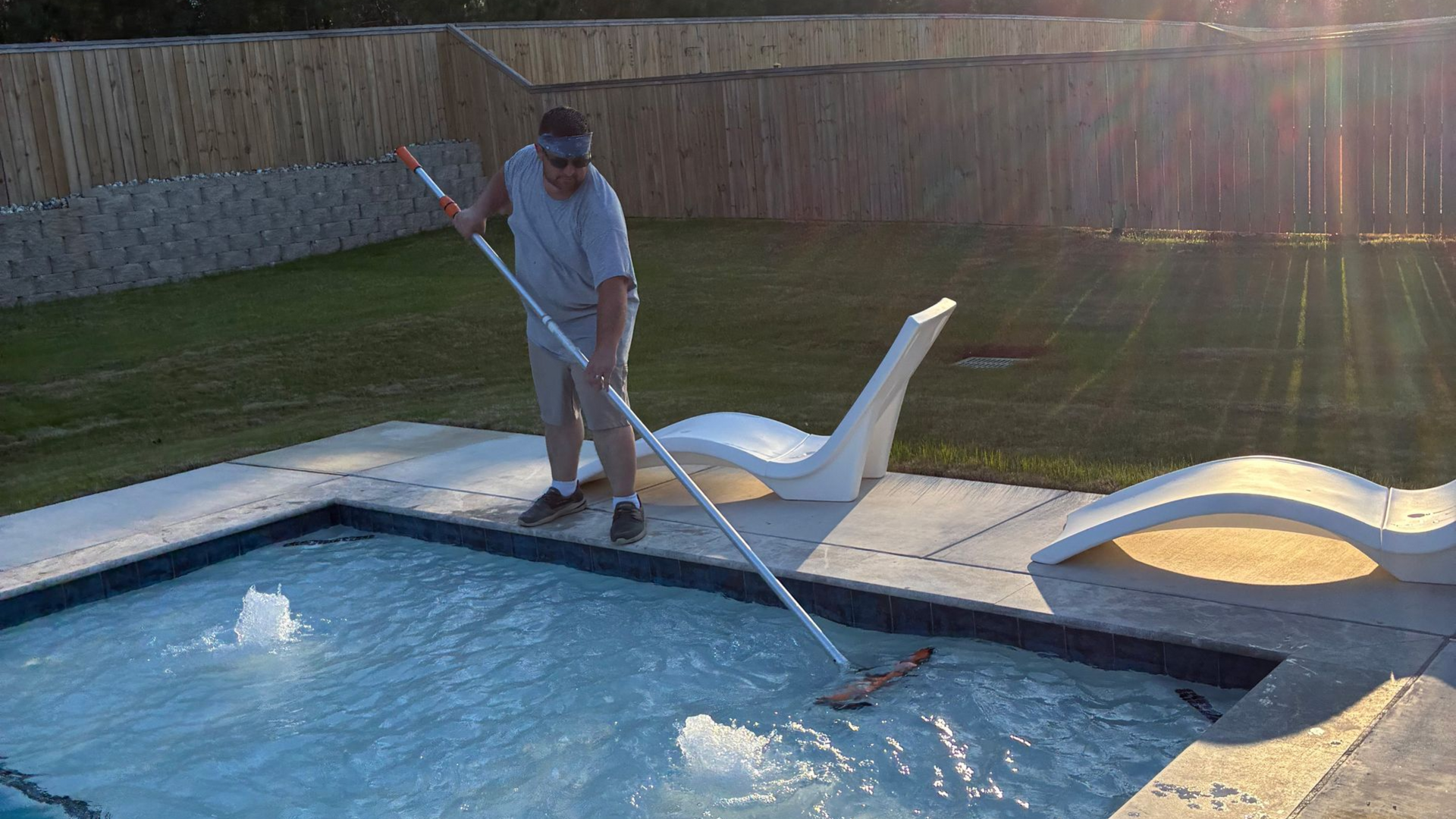 A person using a long-handled pool skimmer to clean a swimming pool in a backyard at sunset.