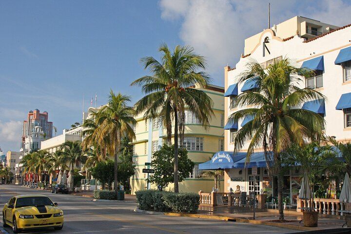 Miami City Half-Day Bus Tour with South Beach Cruise