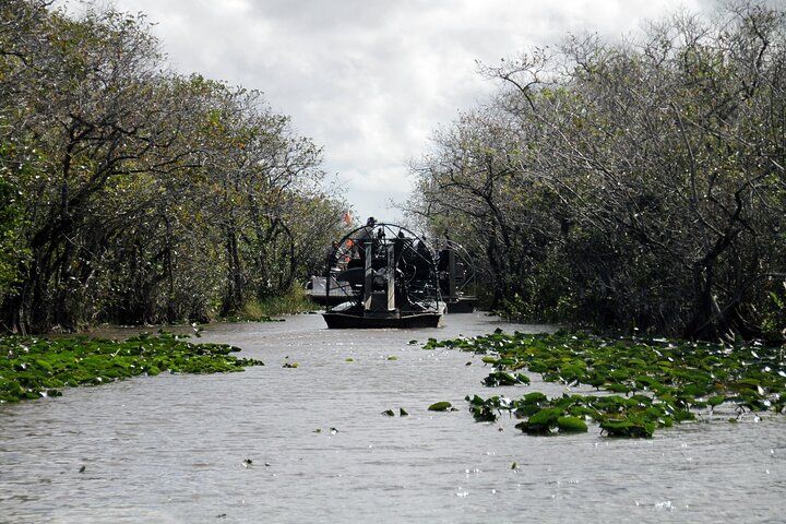 Everglades National Park & Airboat tour with Roundtrip Transfer