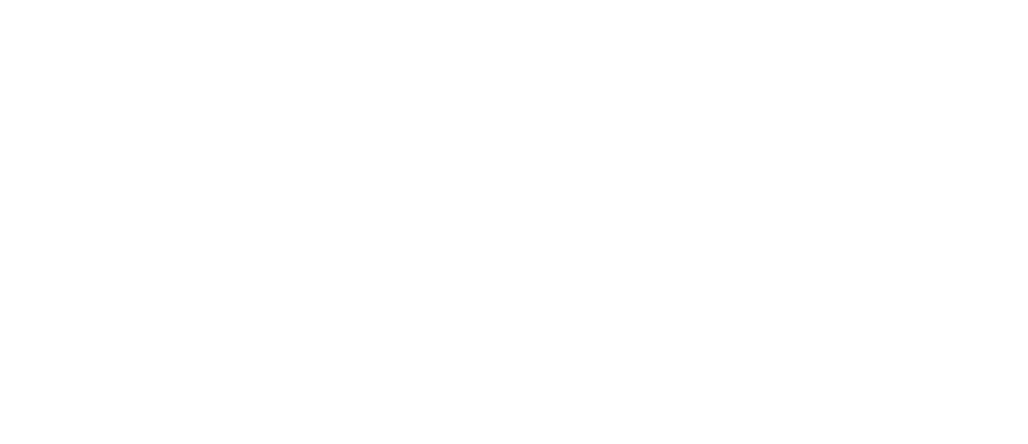 Premium Painting logo