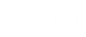 Premium Painting logo